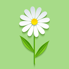 Background with 3d chamomile