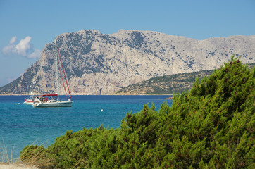 Fototapeta na wymiar The turquoise sea of Sardinia