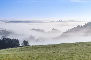 foggy rural landscape in morning in the eifel