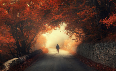 Mystical autumn red forest with silhouette of a man on the road in fog. Fall woods. Landscape with man, trees, road, orange and red foliage, and yellow fog. Travel. Autumn background. Magical forest