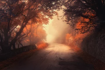 Foto op Canvas Mystieke herfst rood bos met weg in mist. Val mistige bossen. Kleurrijk landschap met bomen, landelijke weg, oranje en rode bladeren en gele mist. Reis. Herfst achtergrond. Magisch donker bos. Sprookje © den-belitsky