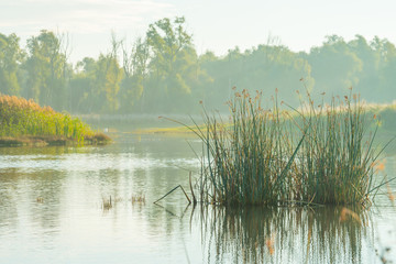 Shore of a lake at sunrise in autumn