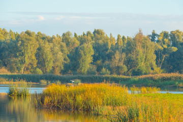 Shore of a lake at sunrise in autumn