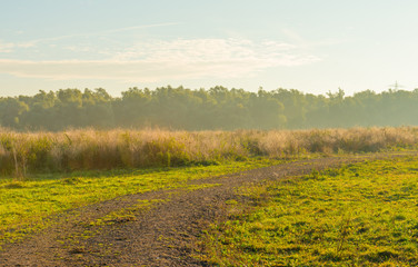 Fototapeta na wymiar Path through a field at sunrise