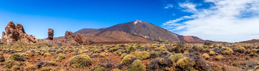 Fotobehang Panoramic view of unique Roque Cinchado unique rock formation with famous Pico del Teide mountain volcano summit in the background on a sunny day, Teide National Park, Tenerife, Canary Islands, Spain © daliu