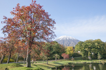 羊蹄山 - 123852151