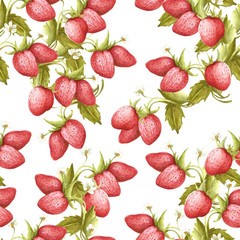 Strawberry seamless pattern. Hand draw watercolor illustration.