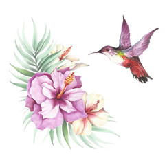The image of tropical flowers,leaves and hummingbirds . Watercolor illustration.