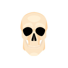 Icon human skull