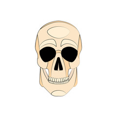 Icon human skull