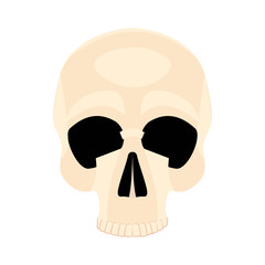 Icon human skull