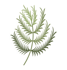 leafs plant decoration isolated icon vector illustration design