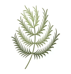 Foto auf Alu-Dibond Monstera leafs plant decoration isolated icon vector illustration design