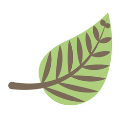 leafs plant decoration isolated icon vector illustration design