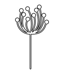 flower plant decoration isolated icon vector illustration design