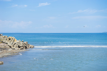 Matsukawa river estuary