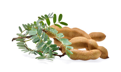 Tamarind isolated on white background