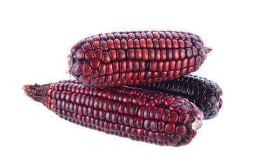 purple corn isolated on white background