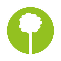 tree plant ecology symbol vector illustration design