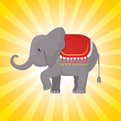 circus elephant festival show over yellow background. vector illustration