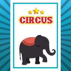 Fototapeta premium circus elephant festival show over blue and white background. vector illustration