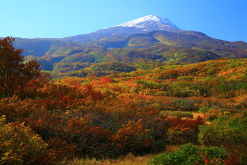 秋田県　紅葉の竜ヶ原湿原