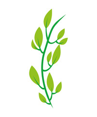 leafs plant decoration isolated icon vector illustration design