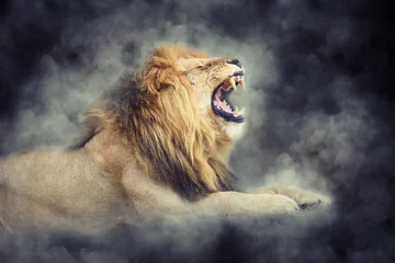 Foto op Plexiglas Leeuw Leeuw in rook op donkere achtergrond