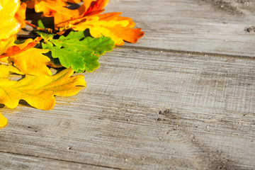 Green, yellow and red autumn leaves on a wooden table.