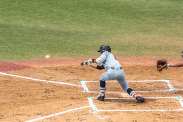 高校野球試合風景