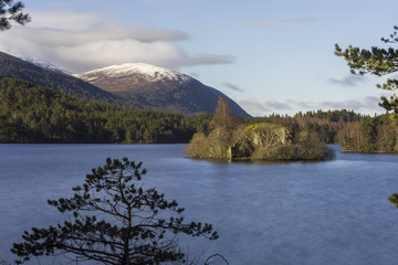 View over Loch an Eilein showing its island with a castle ruin a © Sander