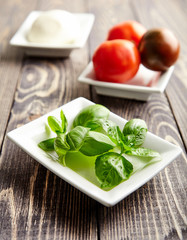 Italian caprese, mozzarella, tomatoes, basil