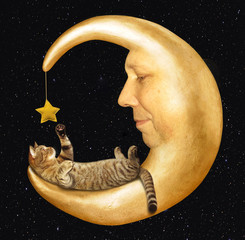 A funny cat lies on the moon. The moon looks like a face of a man. © iridi66