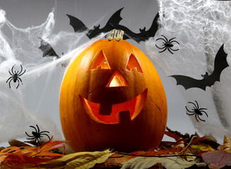 Halloween pumpkin on leaves close up on white