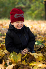 Little boy sitting in autumn leaves, laughing, looking slyly