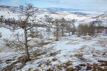 Siberian landscape near lake Baikal.