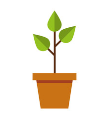 leafs plant ecology symbol vector illustration design