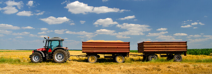 Modern red tractor on the agricultural field on sunny summer day