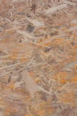 Texture wood background closeup.