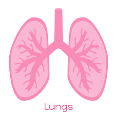 Lungs illustration in flat style. Viscera icon, internal organs.