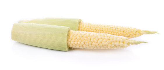 Young small corn on white background