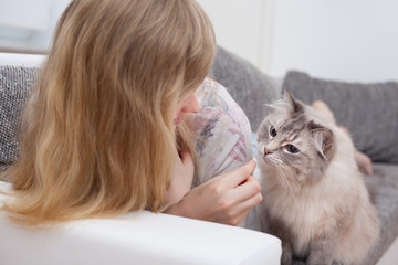 young woman feeding ragdoll cat a dainty