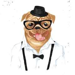 Schilderijen op glas Hand drawn dressed up pug in hipster style © Marina Gorskaya