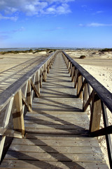 Fototapeta na wymiar Puente de madera en perspectiva.