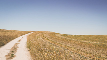 Fototapeta premium Feldstraße an einem Feld im Outback Asutralien