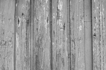 Gray painted wood planks as background or texture. Close-up
