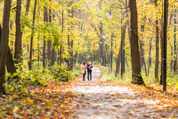 Fototapeta premium friendly family walking in the park in autumn together