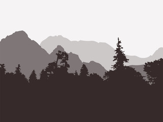 Panoramic view of the forest and mountains - 123876729