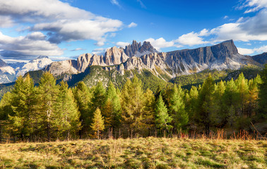 Beautiful forest mountain landscape in Alps