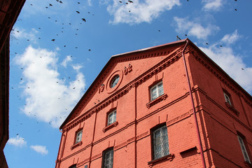 The building of the old watermill of red brick. View from below on a blue sky with a huge flock of birds.